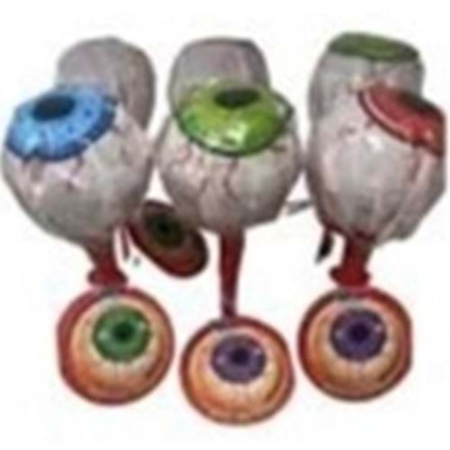 JOY TOP MEGA LOLIPOP PEYES