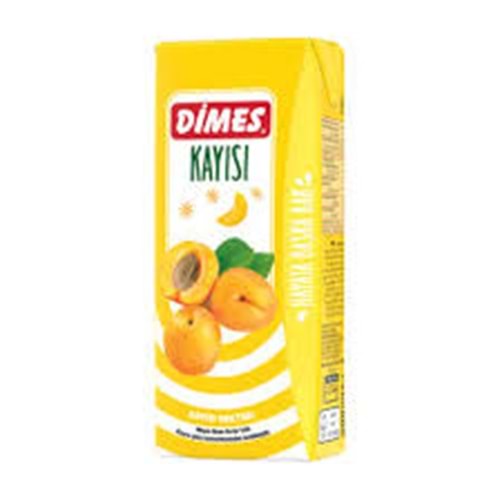 DIMES MEYVE SUYU 200 ML KAYISI