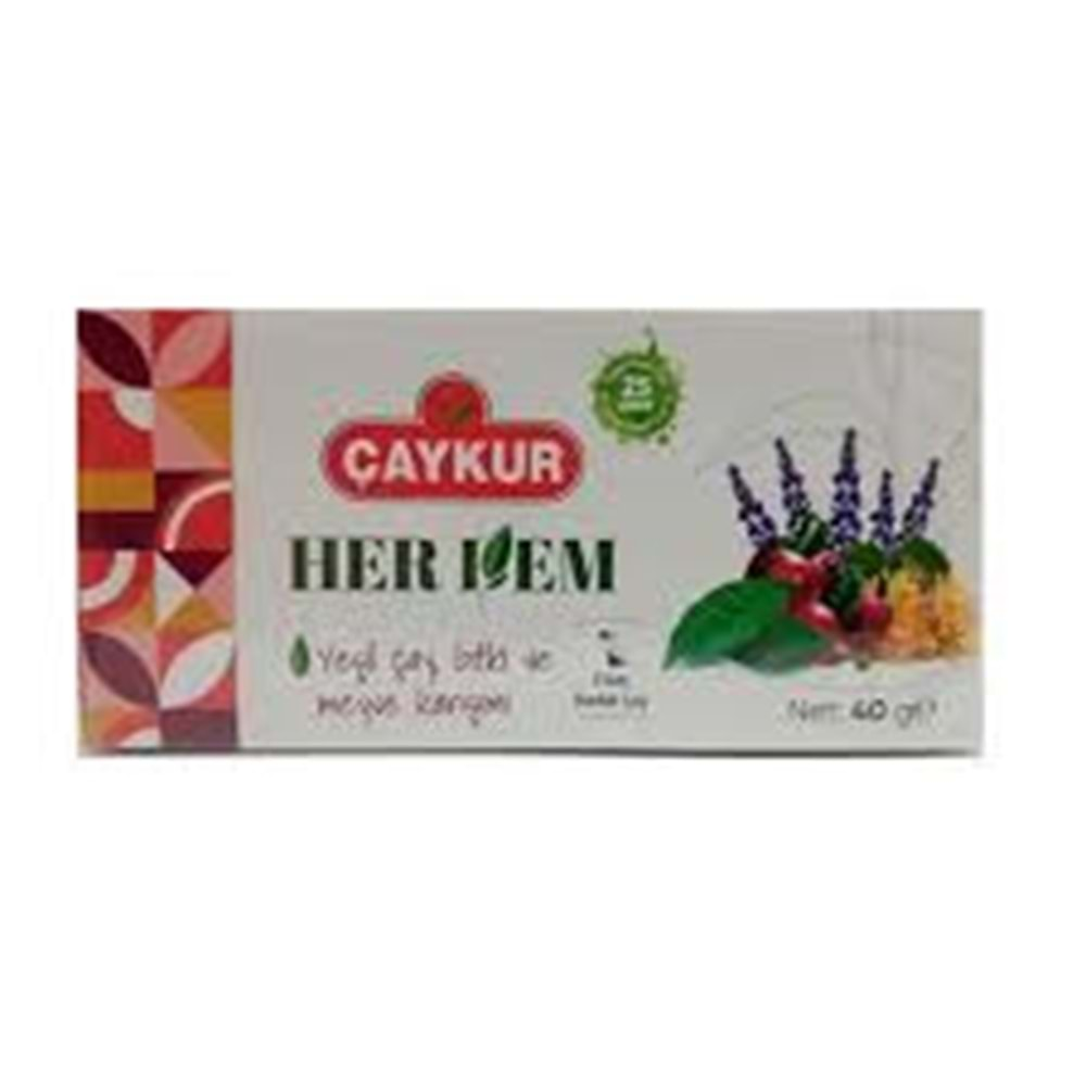 ÇAYKUR BİTKİ ÇAYI 40 GR YEŞİL ÇAY BİTKİ VE MEYVE KARIŞIMI