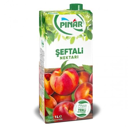 PINAR MEYVE SUYU 200 ML SEFTALI