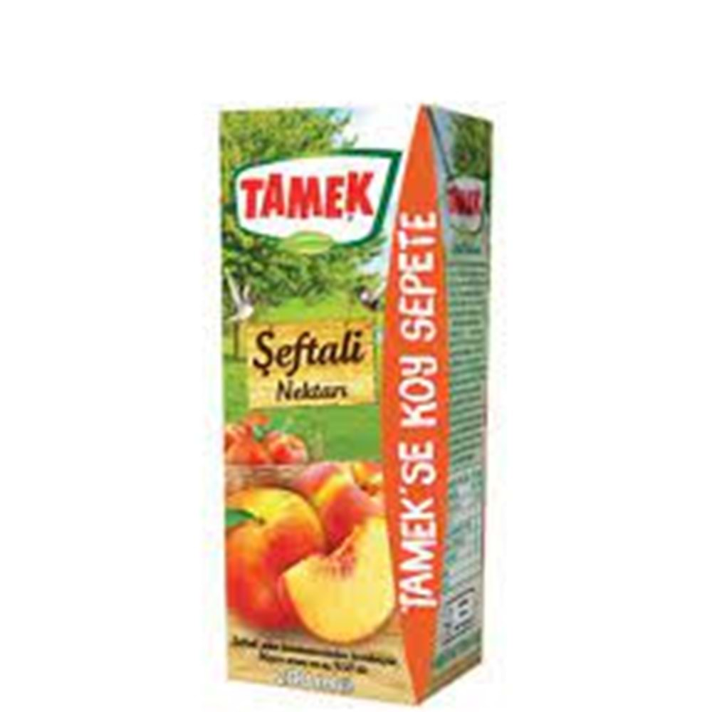 TAMEK MEYVE SUYU 200 ML SEFTALI