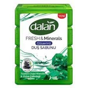 DALAN BANYO SABUNU 600 GR DOGAL MINERALLER