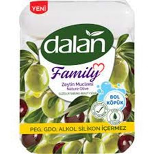 DALAN FAMILIY SABUN 300 GR ZEYTIN MUCIZESI