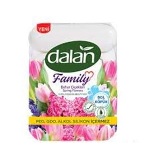 DALAN FAMILIY SABUN 300 GR BAHAR CICEKLERI