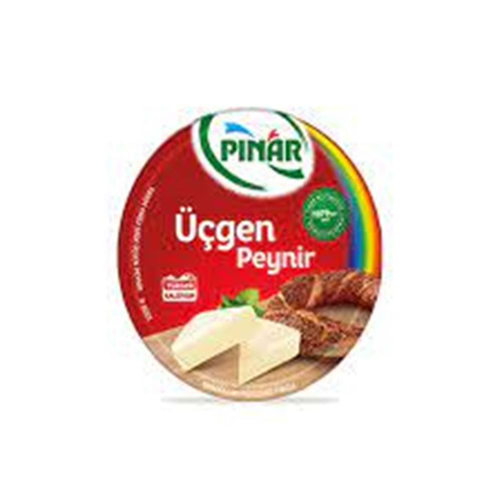 PINAR KAHVALTI KEYFI UCGEN PEYNIR 100 GR