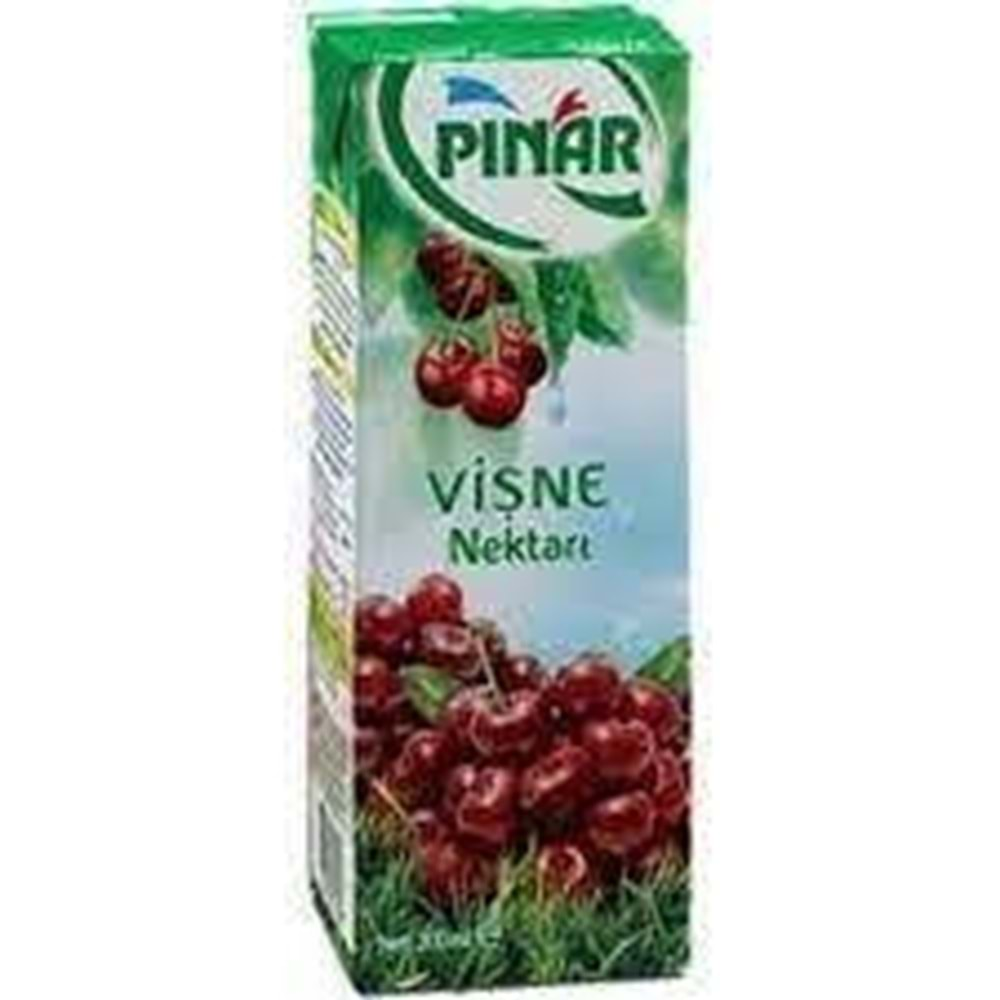 PINAR MEYVE SUYU 200 ML VISNE