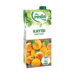 PINAR MEYVE SUYU 1 LT KAYISI