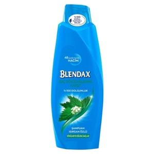 BLENDAX SAMPUAN 500 ML SAC DOKULMELERINE KARSI