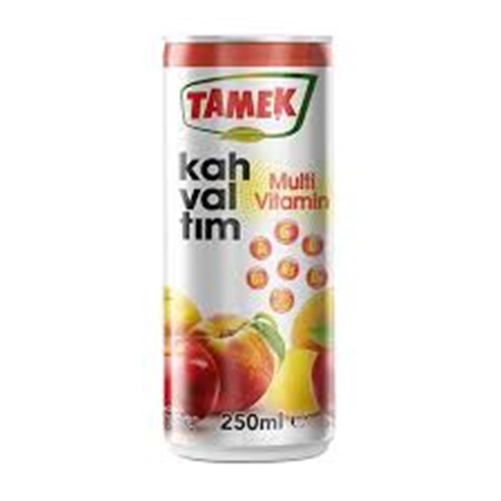 TAMEK MEYVE SUYU 250 ML KAHVALTIM