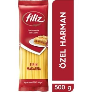 FİLİZ MAKARNA 500 GR FIRIN