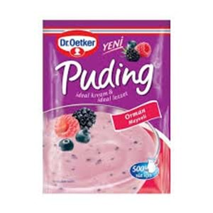 DR.OETKER TOZ PUDING 81 GR ORMAN MEYVELI