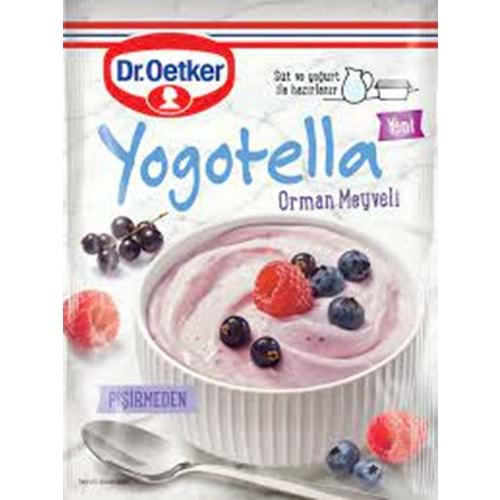 DR.OETKER YOGOTELLA 69 GR ORMAN MEYVELI