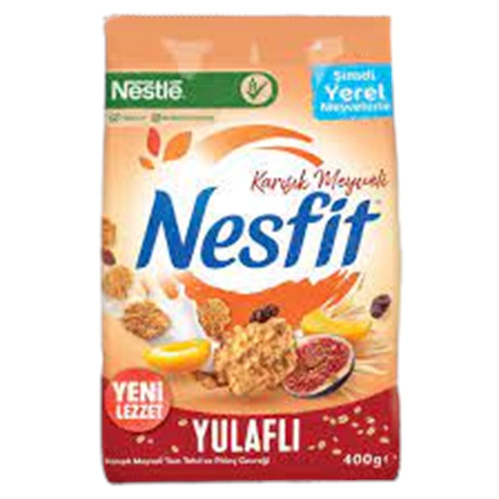 NESTLE NESFIT 400 GR KARISIK MEYVELI