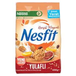 NESTLE NESFIT 400 GR KARISIK MEYVELI