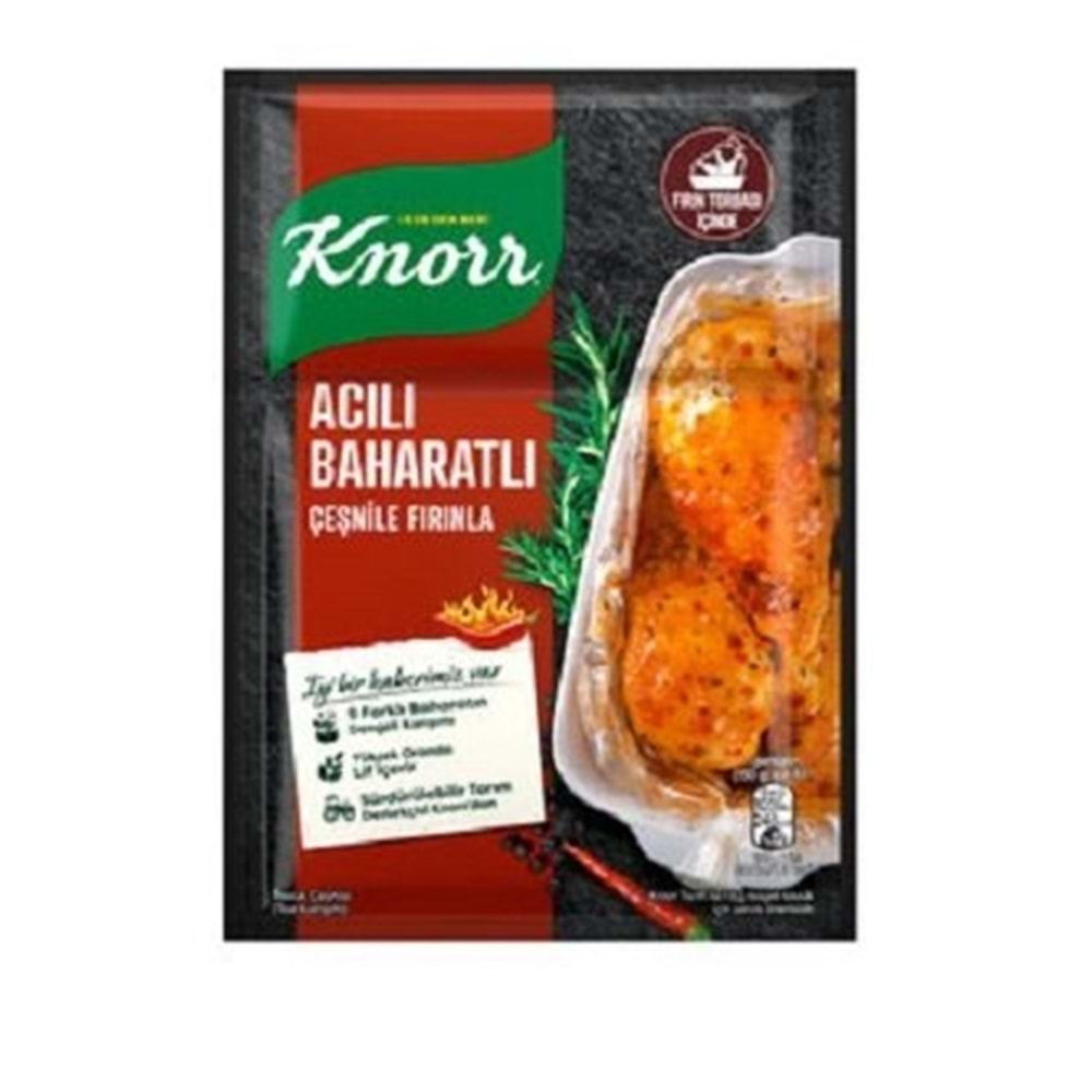 KNORR ACILI BAHARATLI CESNILE FIRINLA 31 GR