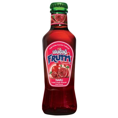 ULUDAĞFRUTTI MEYVELI SODA 200 ML NAR