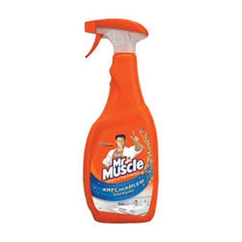 MR MUSCLE KIREC VE KIR SOKUCU SPREY 750 ML