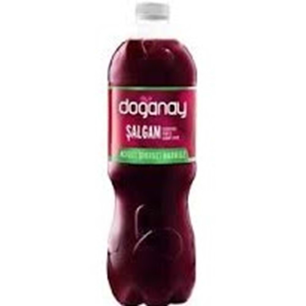 DOĞANAY ŞALGAM 2 L ACISIZ