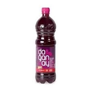 DOĞANAY SALGAM 1 LT ACILI