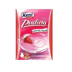 KENT BORINGER TOZ PUDING 83 GR CILEKLI