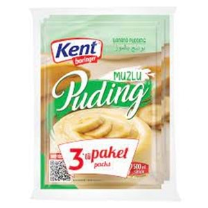 KENT BORINGER TOZ PUDING 3X83 GR MUZLU