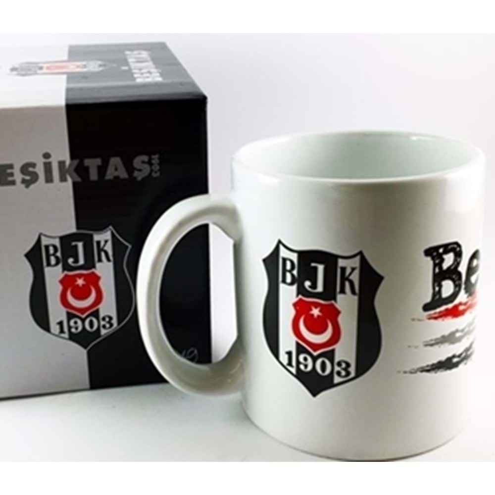 TARAFTAR KUPA BARDAK BESIKTAS