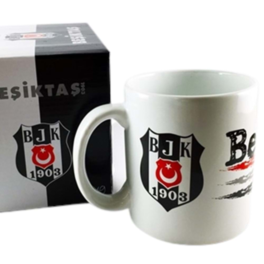 TARAFTAR KUPA BARDAK BESIKTAS