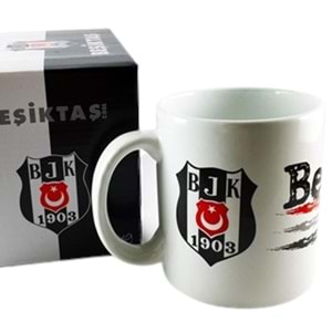 TARAFTAR KUPA BARDAK BESIKTAS