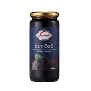 SEYİDOĞLU DUT ÖZÜ 640 GR