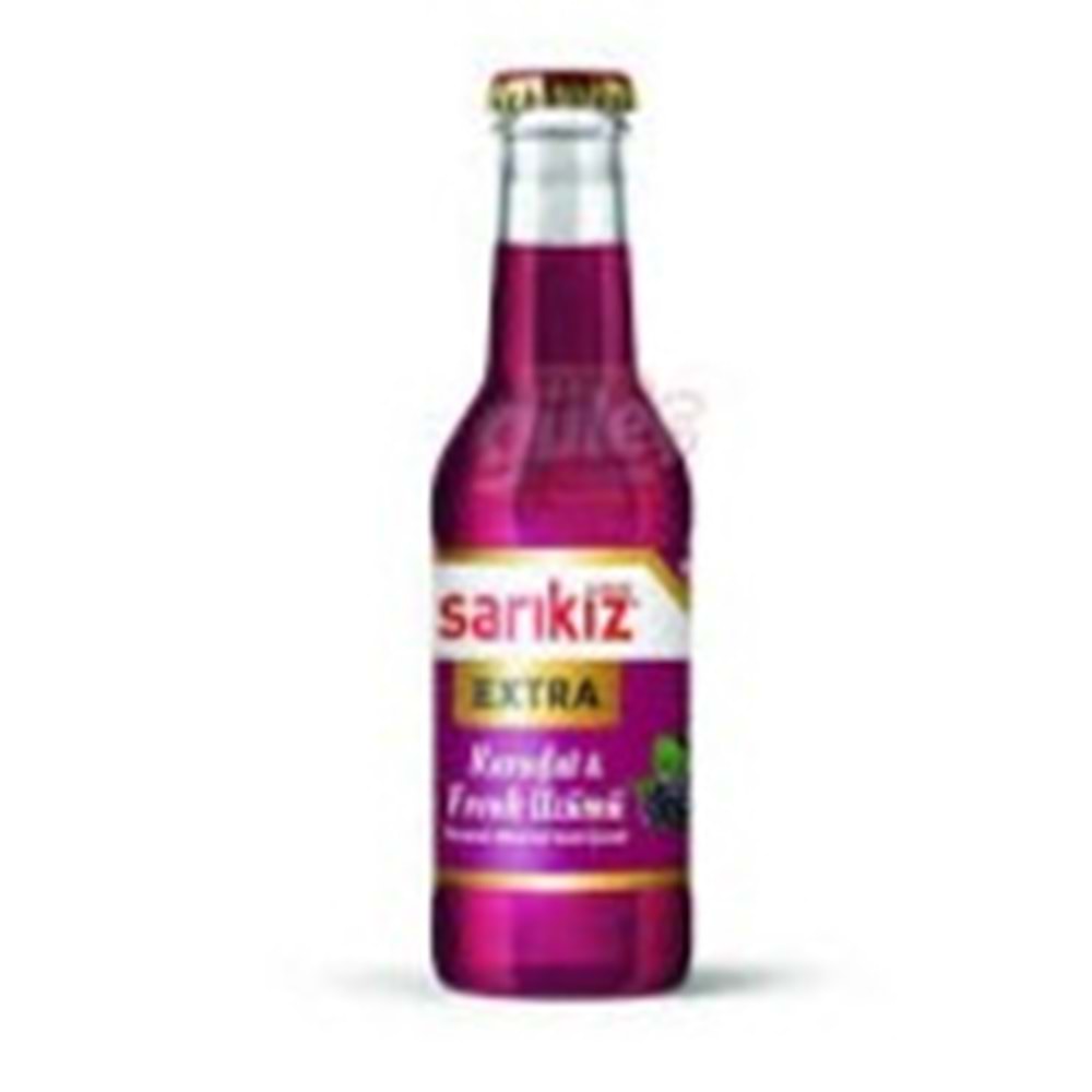 SARIKIZ MEYVELI SODA 200 ML KARADUT