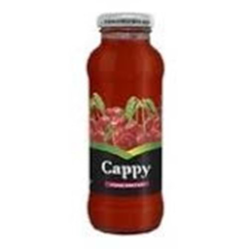 CAPPY MEYVE SUYU 250 ML VİŞNE