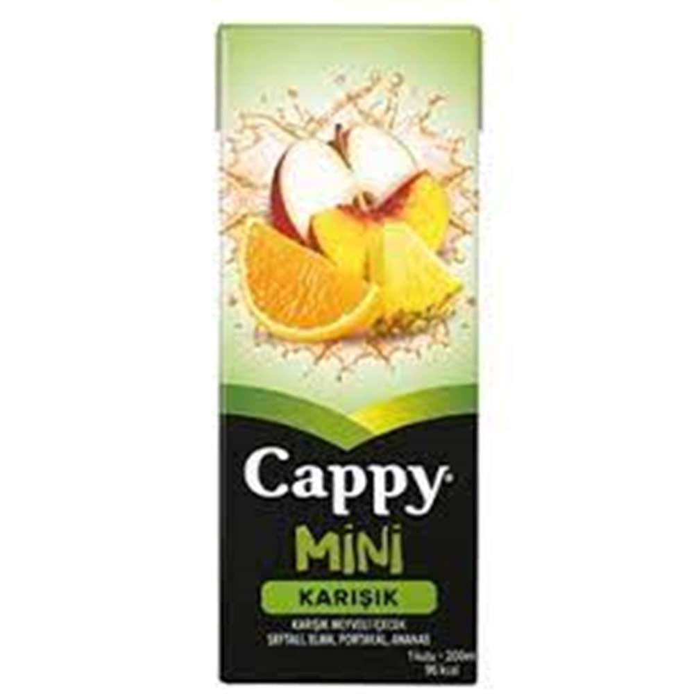 CAPPY MEYVE SUYU 200 ML KARISIK