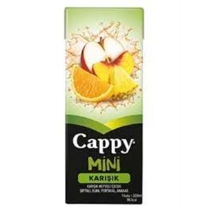 CAPPY MEYVE SUYU 200 ML KARISIK