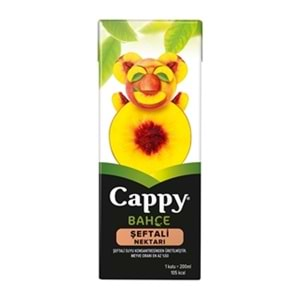 CAPPY MEYVE SUYU 200 ML SEFTALI